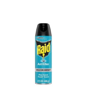 Raid Killer Pine Fresh Spray 12 x 17.5 oz